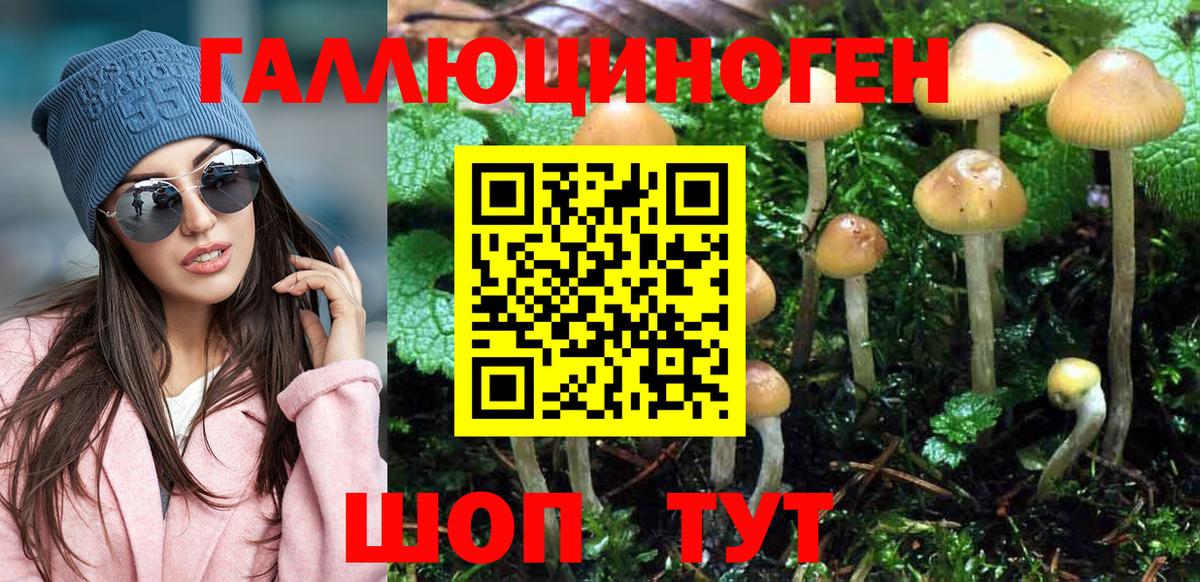 Галлюциногенные грибы GOLDEN TEACHER  Псилоцибиновые грибы прущие грибы  Вход с VPN  Ессентуки 